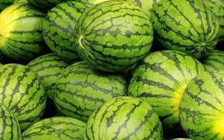 每日大赛吃瓜入口,吃瓜群众狂欢入口揭秘