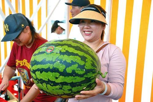 每天看娱乐吃瓜