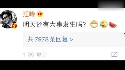 最新的娱乐吃瓜视频网站,热门视频网站独家放送！